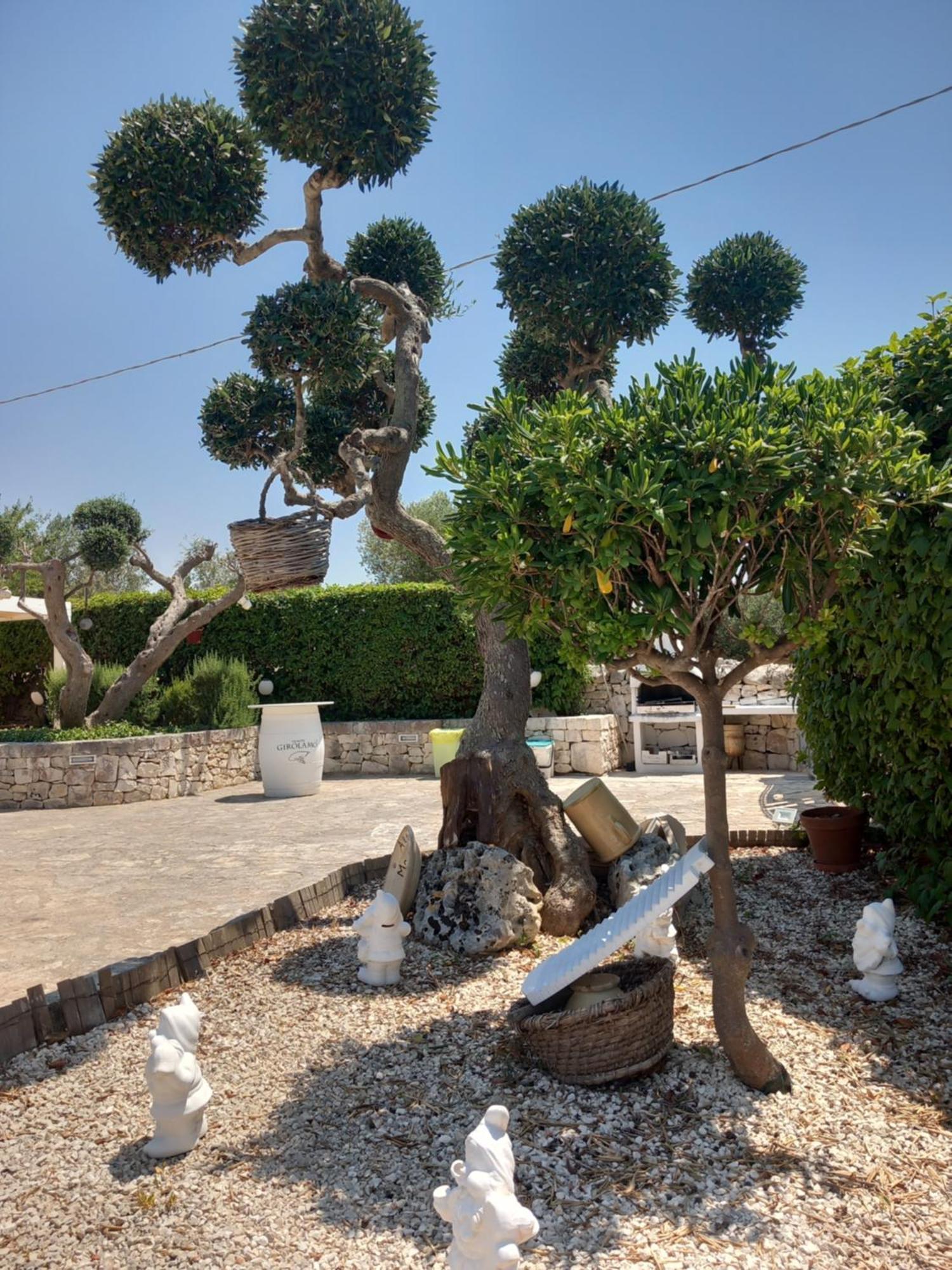Trullo Monte Del Sale Casa de hóspedes Alberobello Exterior foto